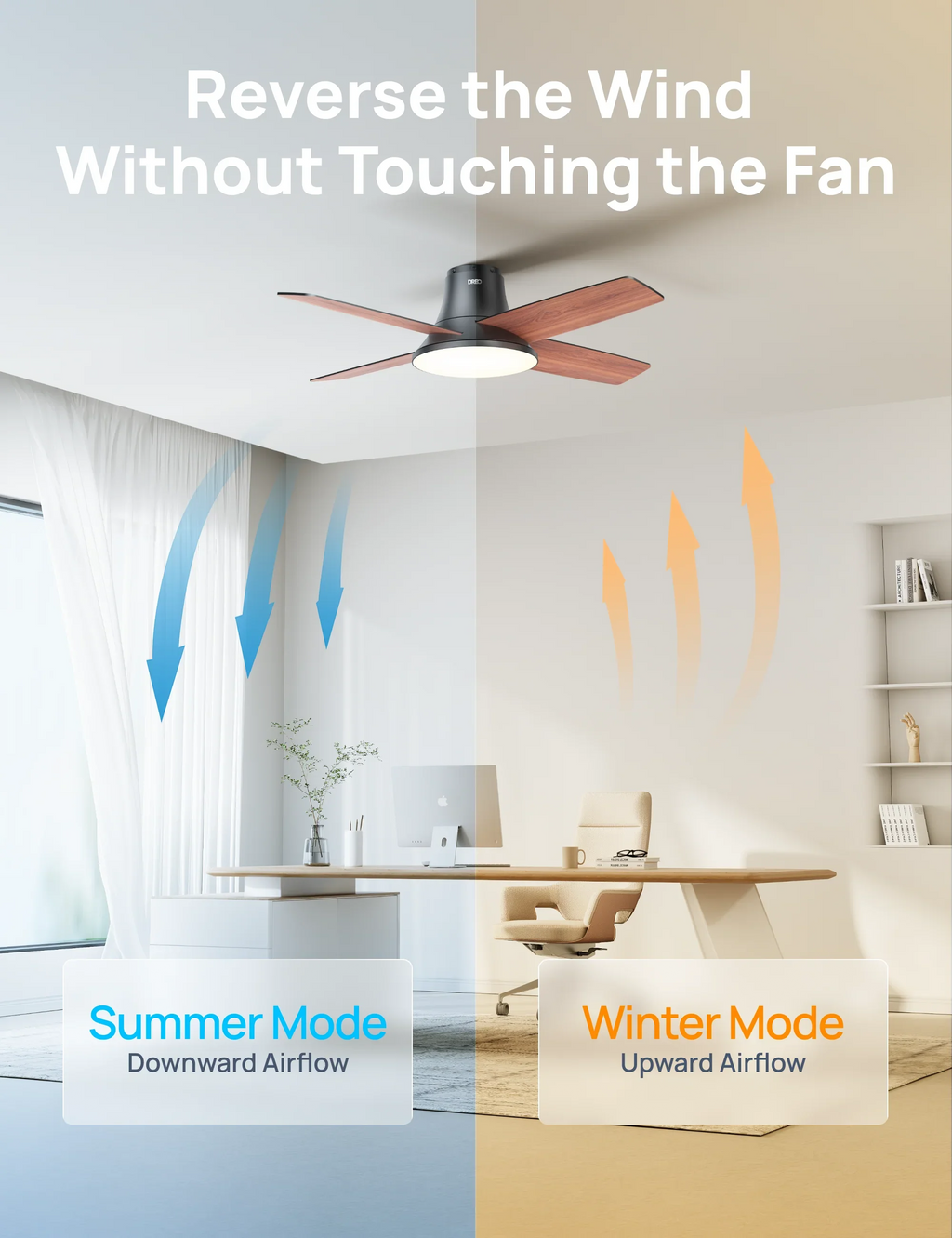 Ceiling Fan 513