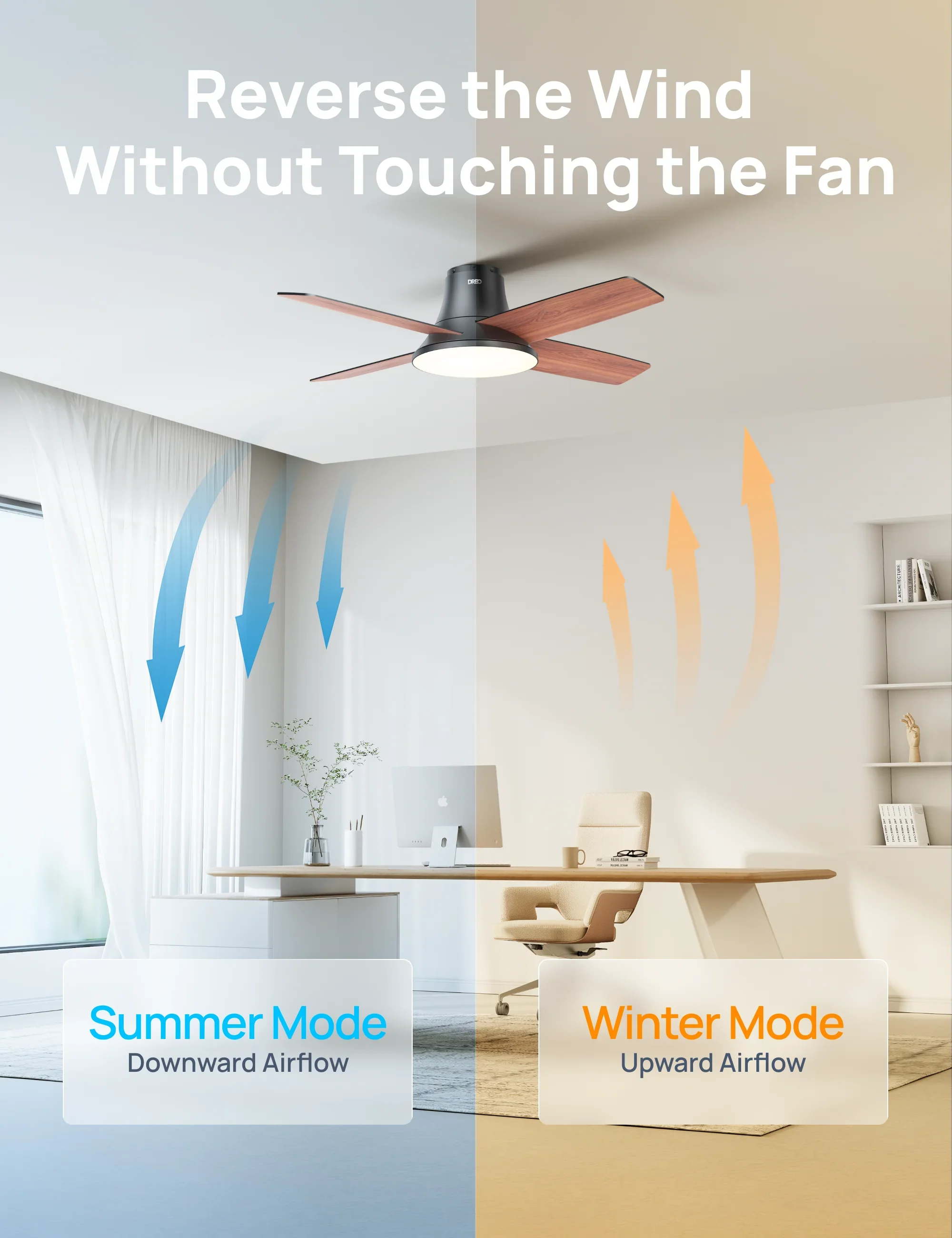 Ceiling Fan 513