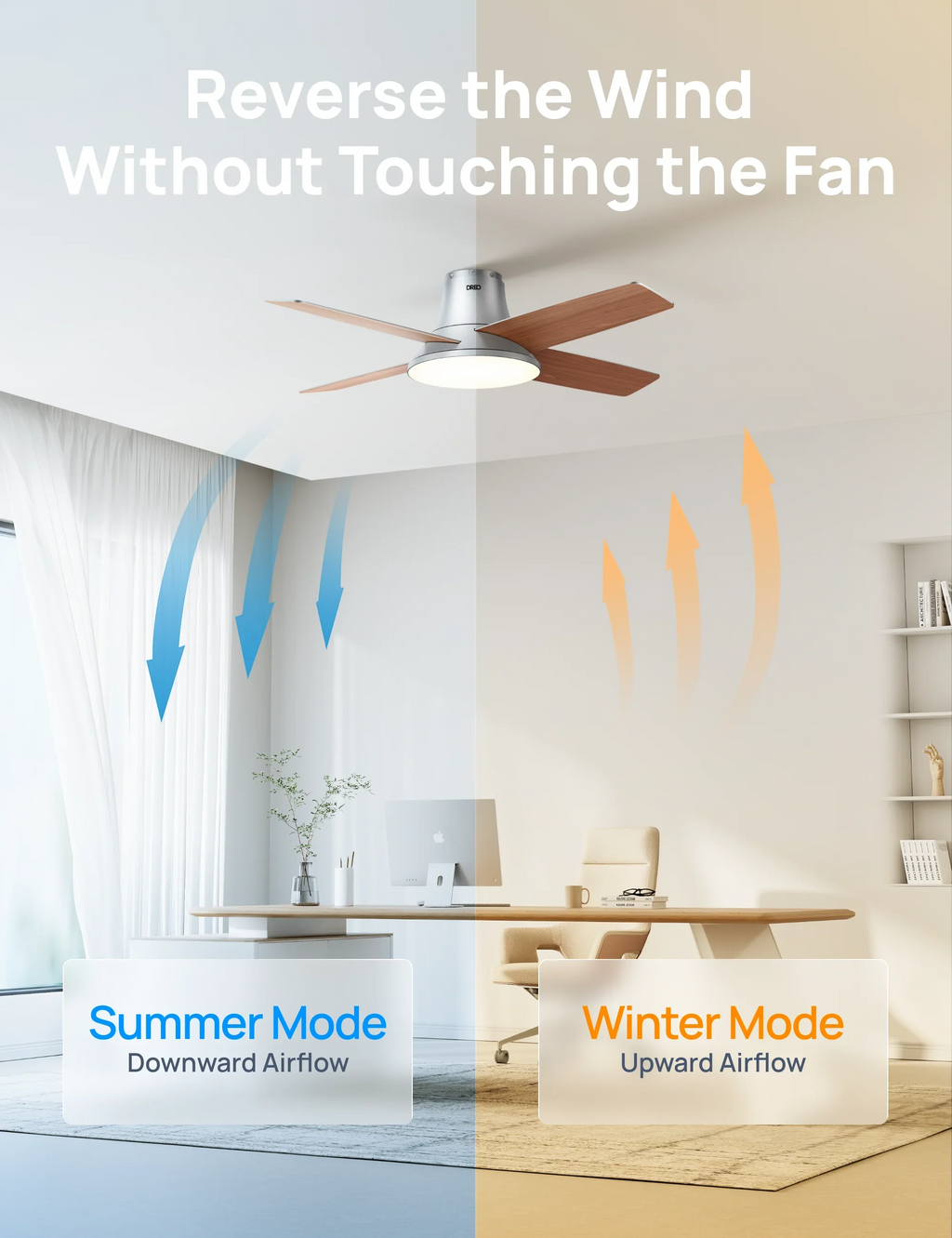 Ceiling Fan 513