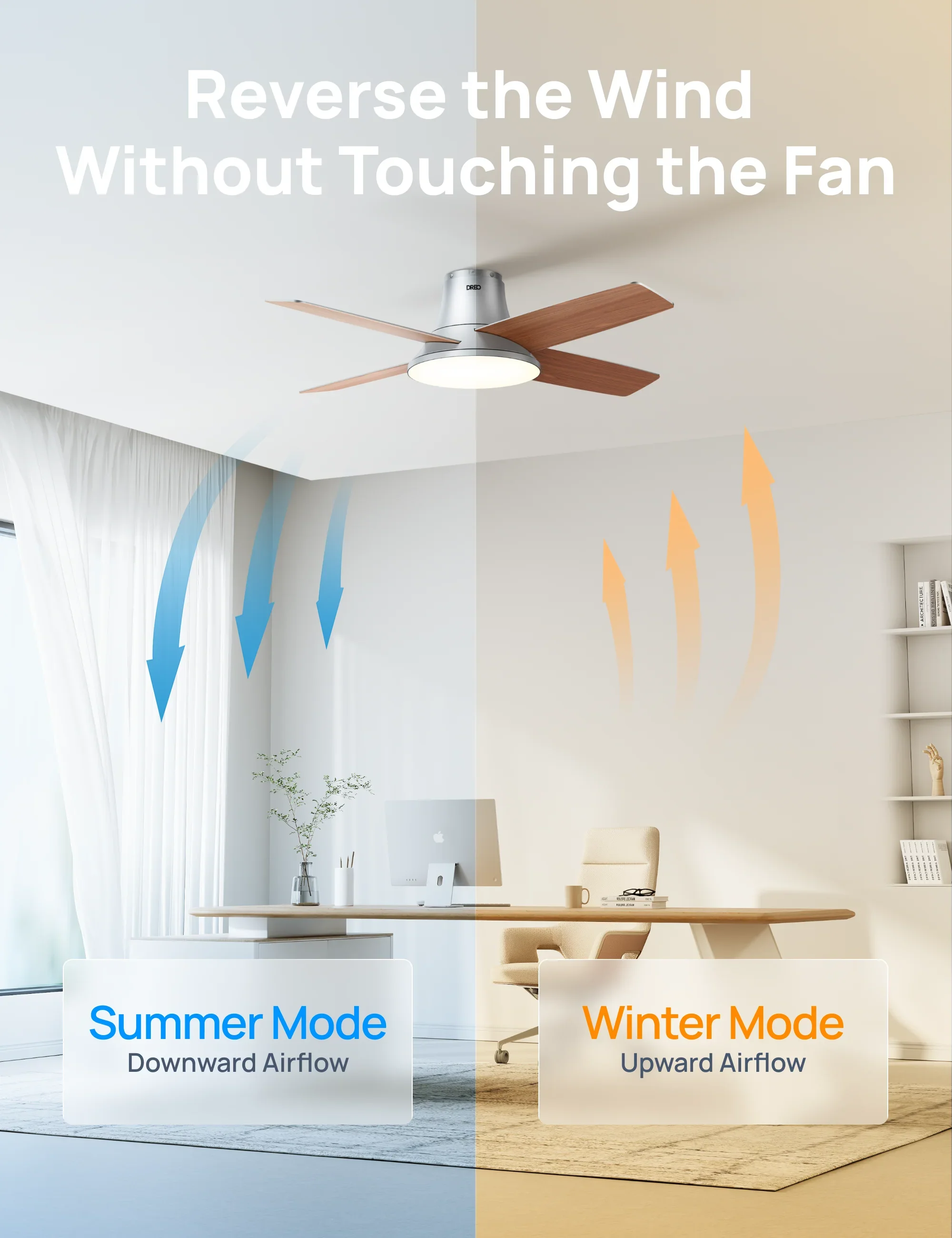 Ceiling Fan 513